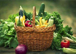 網(wǎng)站服務(wù)系列