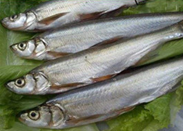 營(yíng)銷推廣內(nèi)容